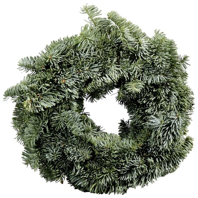 couronne nobilis pleine 50cm $$$